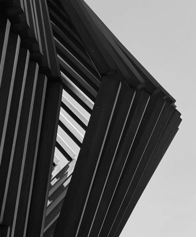 pexels-king-15785692